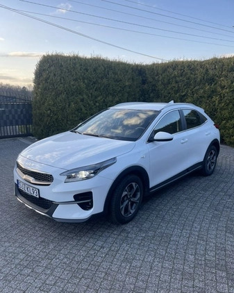 Kia XCeed cena 79500 przebieg: 30500, rok produkcji 2022 z Krzyż Wielkopolski małe 46